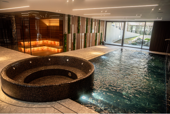 Proyecto de sauna infrarroja privada y piscina - Otros proyectos