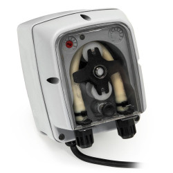 Bomba de aroma  Bomba de aroma