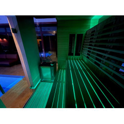 PROYECTOR LED SAUFLEX RGB, CON UNIDAD DE CONTROL 