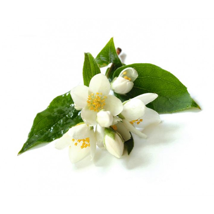 Sentiotec Sauna concentrado aromático, flor de jazmín