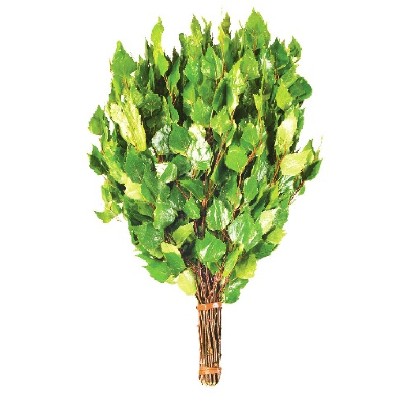 Batidor de abedul con hierbas