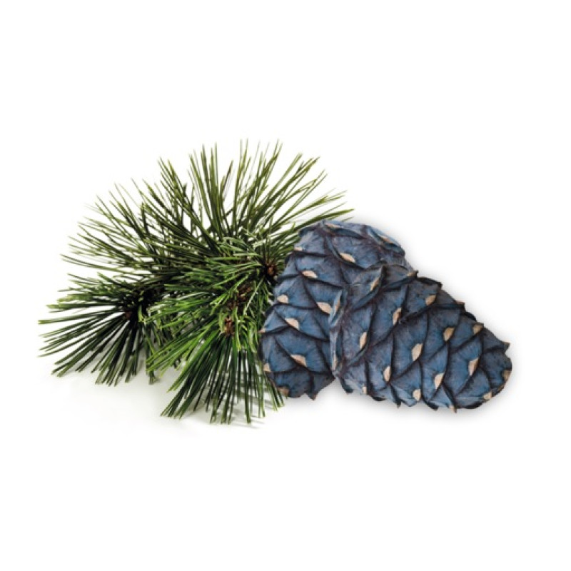 Concentrado aromático para sauna HARVIA, pino arolla, 1 l