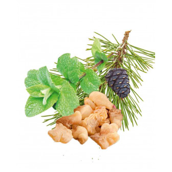 Concentrado aromático para sauna HARVIA, menta, pino, incienso y mirra 1 l