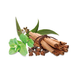 Concentrado aromático para sauna HARVIA, especias y menta, 1 l 