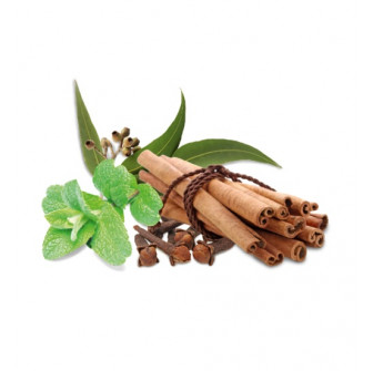 Concentrado aromático para sauna HARVIA, especias y menta, 1 l