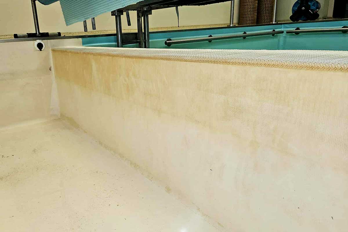 Suciedad y depósitos visibles en las paredes exteriores de la piscina rectangular.
