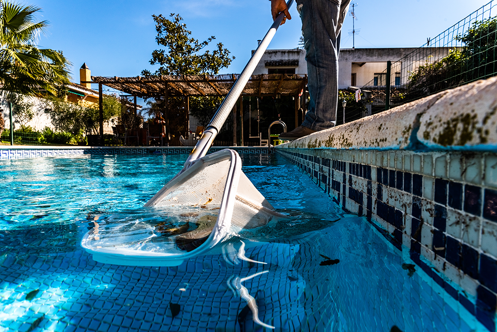 piscina sucia