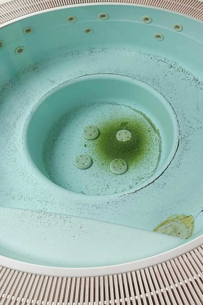 La suciedad de la piscina causada por la negligencia, que es difícil de limpiar pero posible