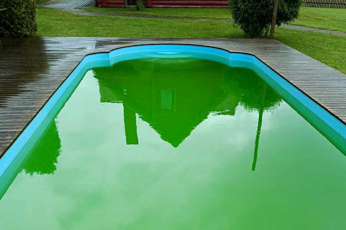 Piscina al aire libre con agua de color verde brillante y cubierta de vegetación, que muestra una superficie de agua descuidada y llena de maleza.