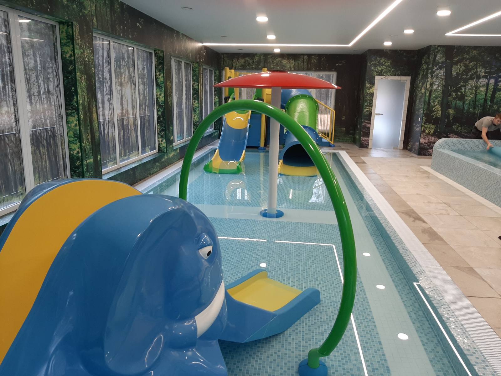 Piscinas y saunas en la granja "Po ąžuolais"