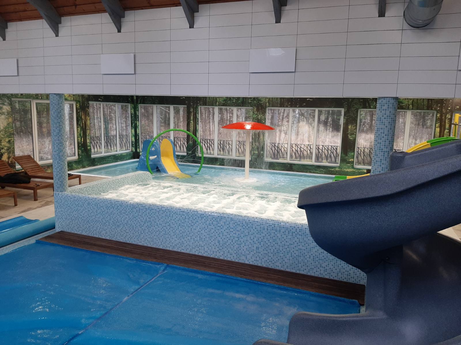 Piscinas y saunas en la granja "Po ąžuolais"