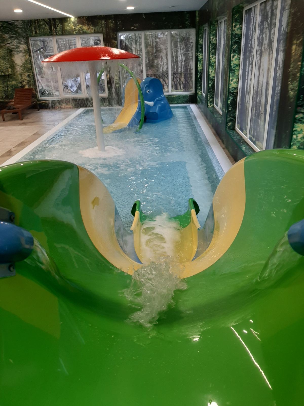 Piscinas y saunas en la granja "Po ąžuolais"